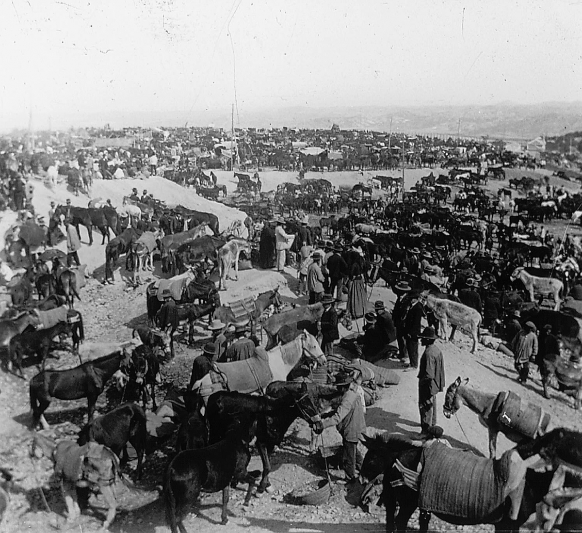  Imágenes históricas de San Lucas 