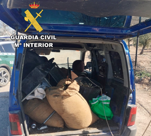  La Guardia Civil investiga a 16 personas por hurtos de aceituna 