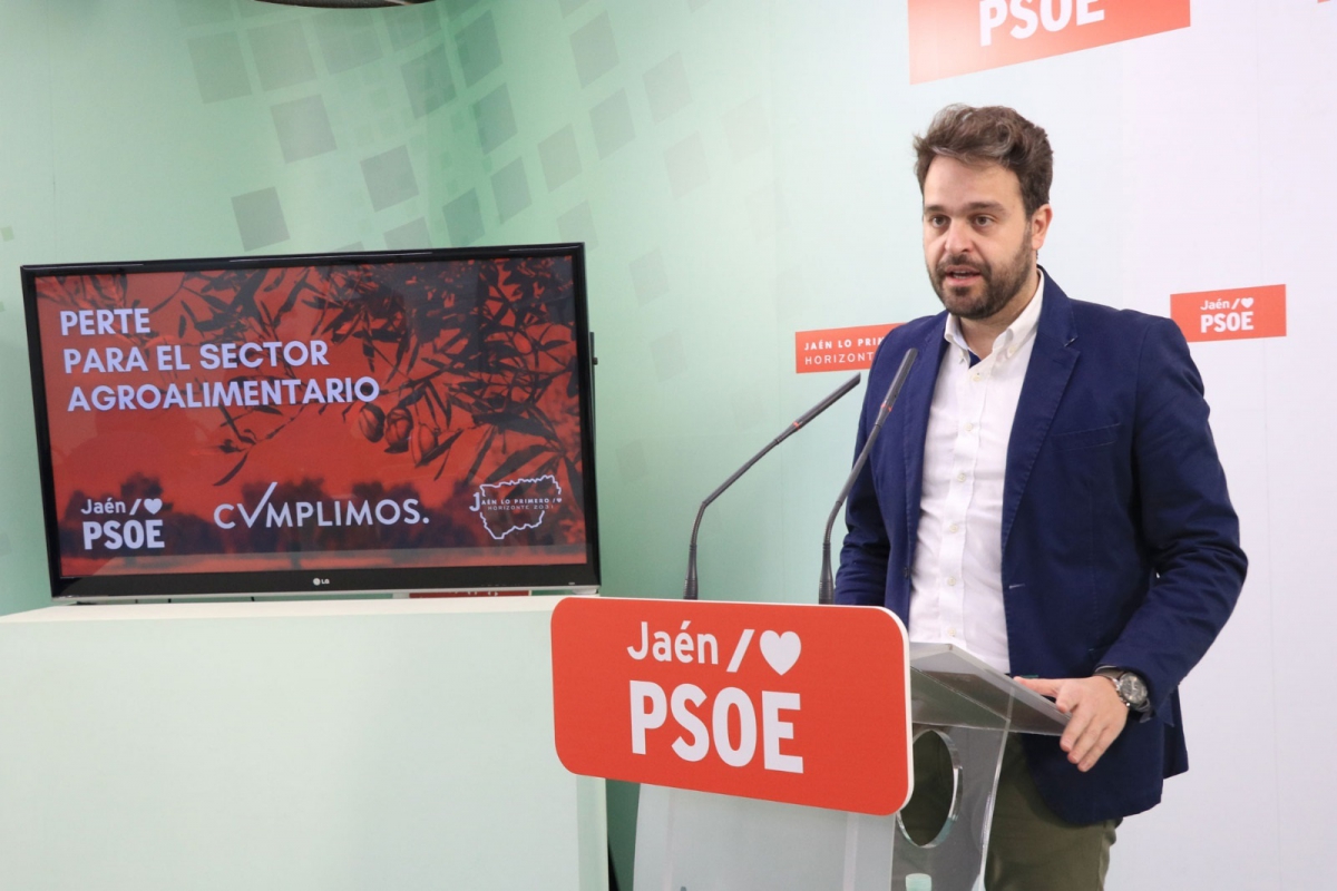 El PSOE afirma que el Perte será una oportunidad histórica 