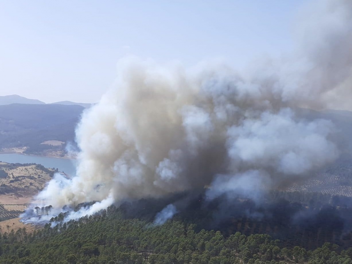  Efectivos del Infoca trabajan en un incendio declarado en Siles 