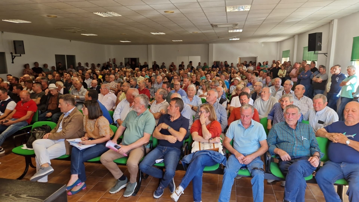  Aceites Cazorla S.C.A renueva la Junta Rectora 