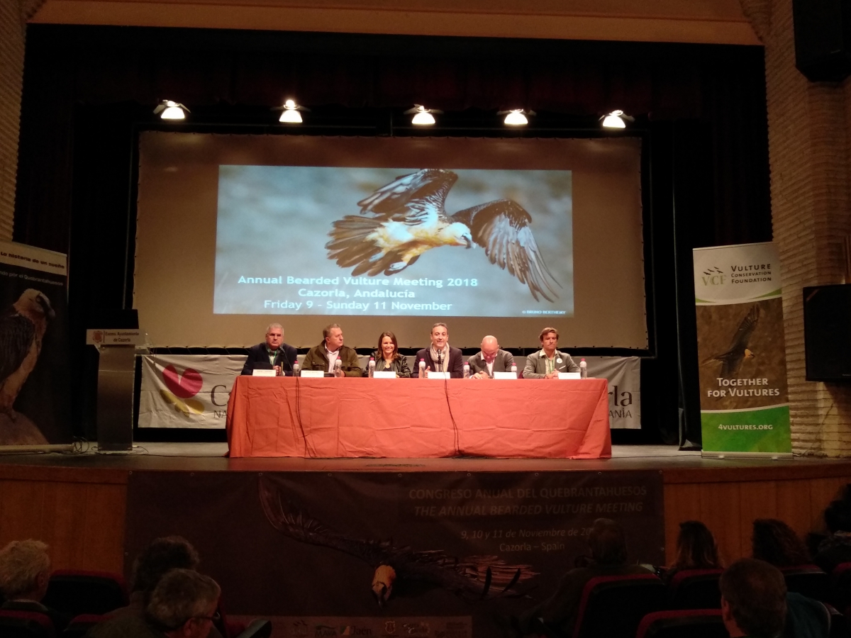  “Cazorla, destino de Congresos” 