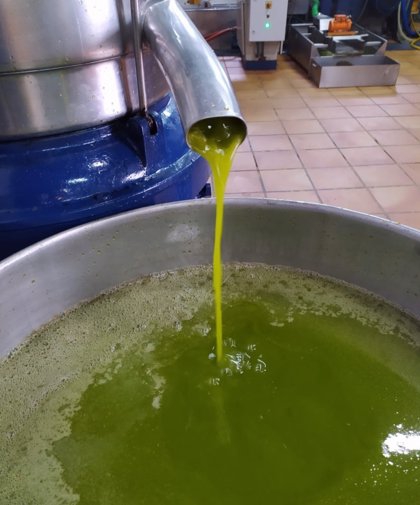  Asaja destaca "la ralentización" de las salidas de aceite de oliva 