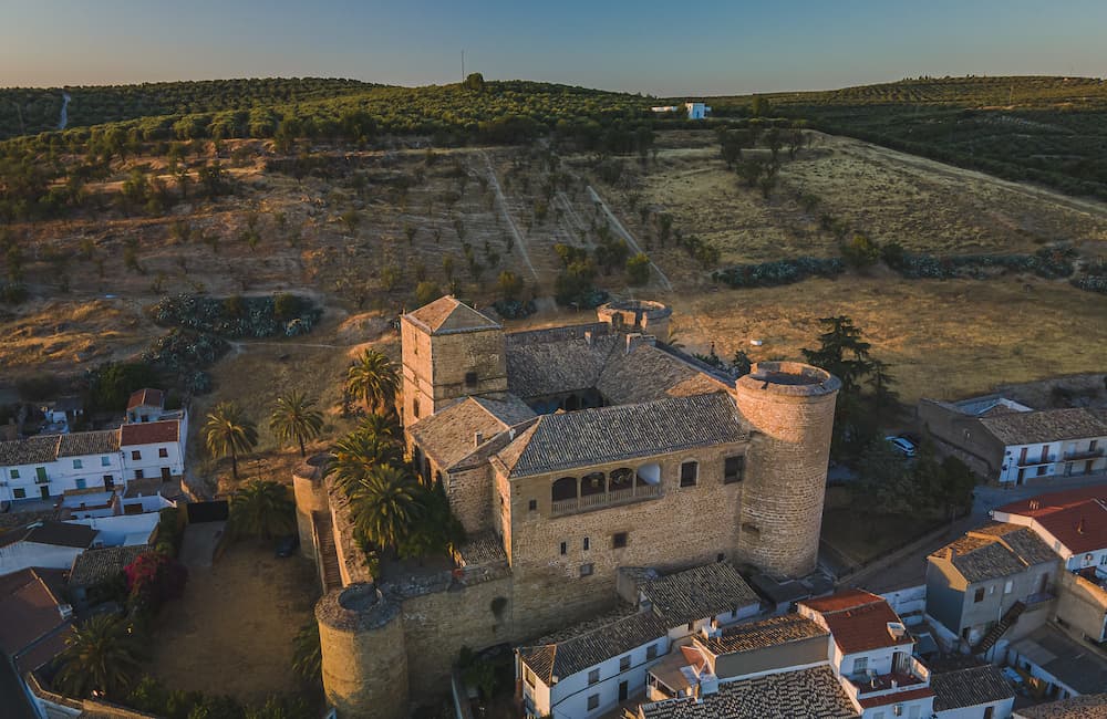  Castillo de Canena convoca el Premio de Investigación Oleícola 