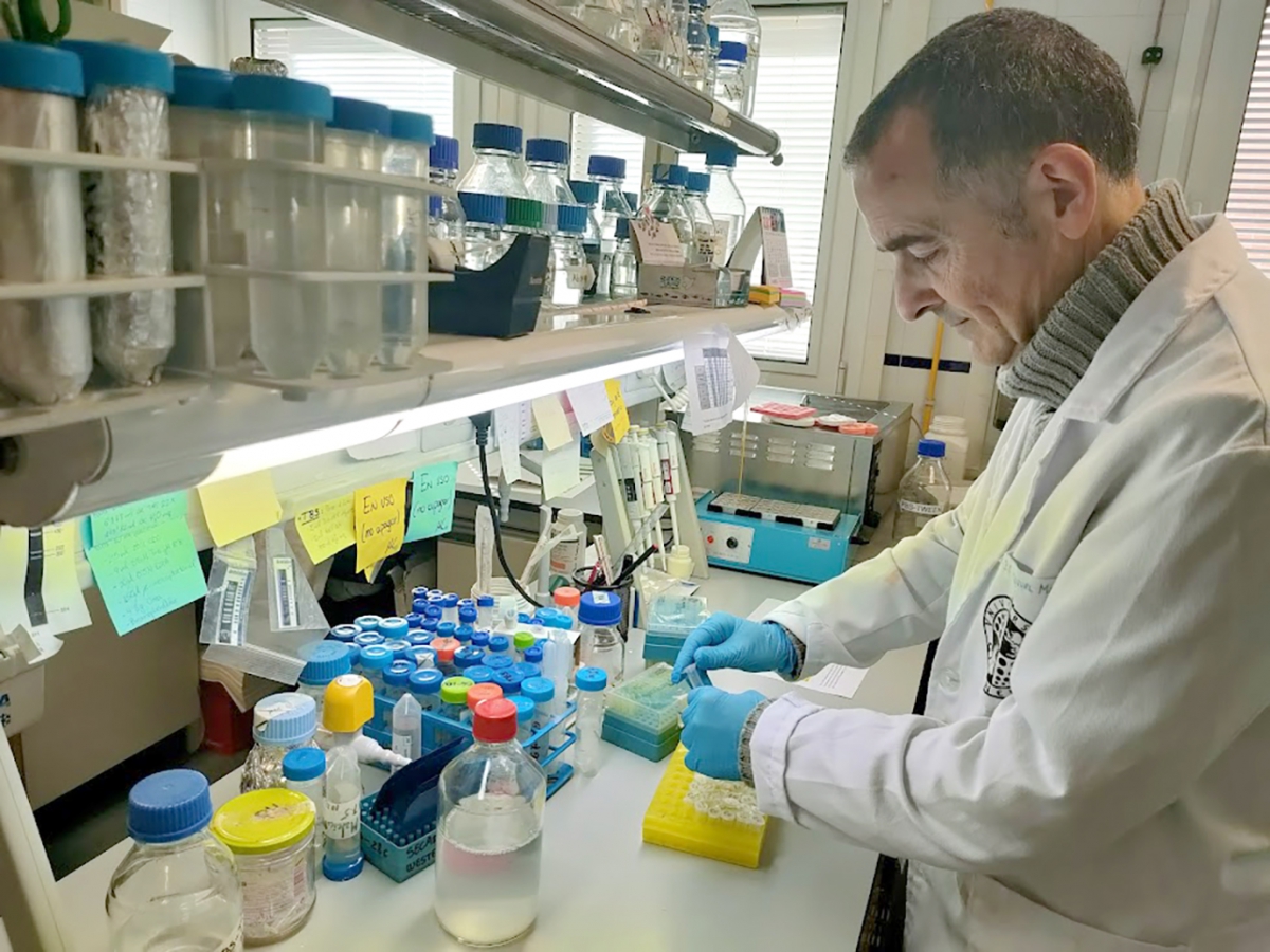  La UJA estudia posibles biomarcadores implicados en procesos cancerígenos 