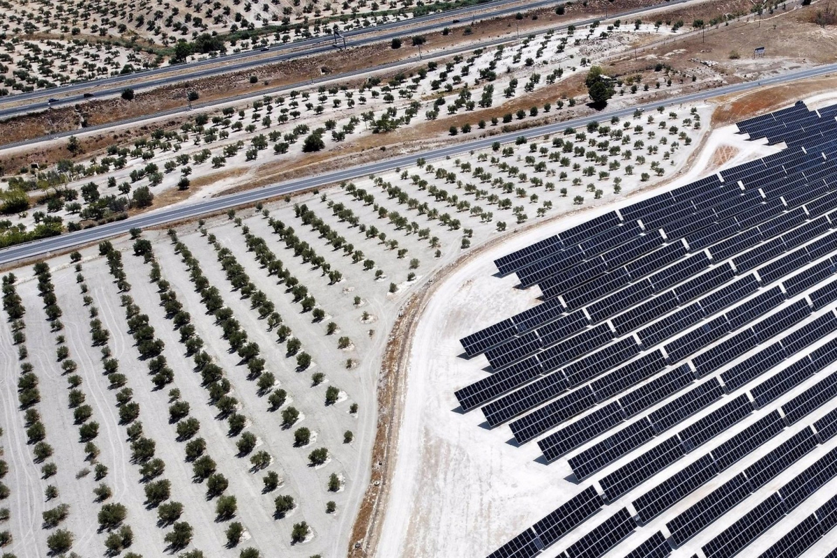  Nueva planta fotovoltaica en Jaén 