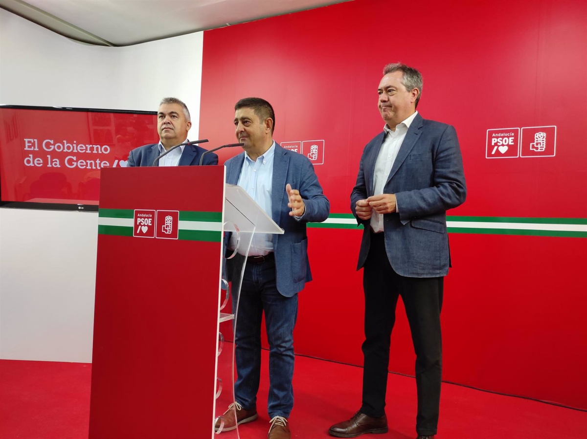  El PSOE pide un plan de empleo a la Junta por la merma de aceituna 
