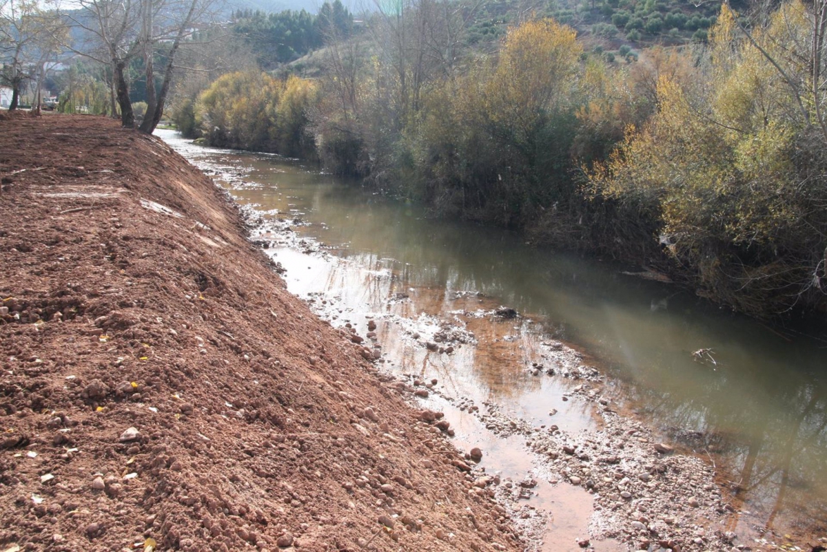  Paralizan la limpieza del río Guadalimar por la "tala ilegal" de árboles 