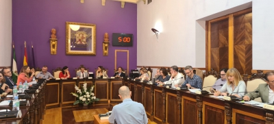  Ayuntamiento de Jaén 