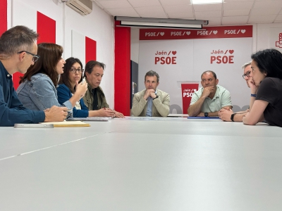  El PSOE pide a PP, JMM y la Junta que consideren el Mirador de San Andrés 