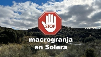  Ecologistas, en contra de la macrogranja porcina de Solera 