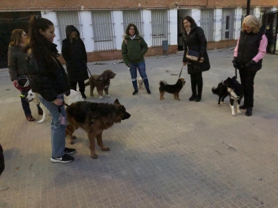  La UPM aumentará las plazas y grupos del taller de adiestramiento canino 