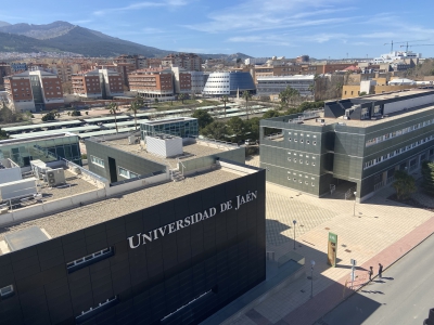  Universidad de Jaén. Grandes opciones para el futuro 
