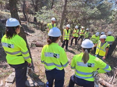 Bioforeste realiza clareos controlados y podas en Bedmar 