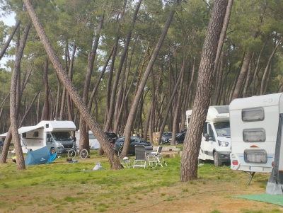  El camping la Bolera, nominado a mejor camping de montaña de España 
