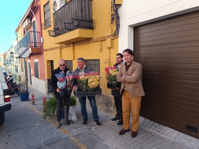  El barrio de El Almendral engalana sus calles con plantas por Navidad 