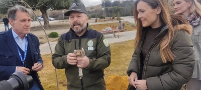  Geolit acoge la suelta de tres cernícalos recuperados 