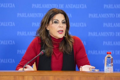  Ángeles Férriz, portavoz adjunta en el Grupo Parlamentario Socialista 