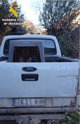  Investigan a un vecino de Pozo Alcón por caza mayor con un perro de presa 