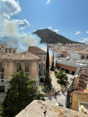  Arden dos cipreses en la Diputación Provincial de Jaén 