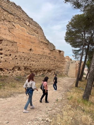  Marroquíes Bajos Arqueología 