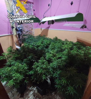  Dos detenidos en Torredelcampo por gestionar plantación de marihuana 
