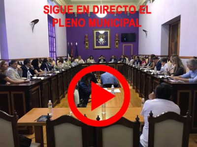  Pleno del Ayuntamiento de Jaén de hoy 