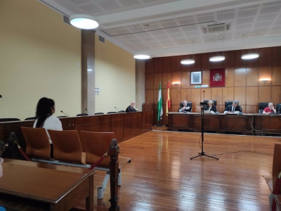 Vuelven a suspender el juicio a la mujer que apuñaló a su pareja 