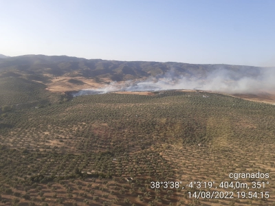  El Infoca cifra en 24 hectáreas la superficie quemada en Andújar 