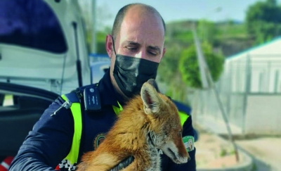  Zorro Policía Local 