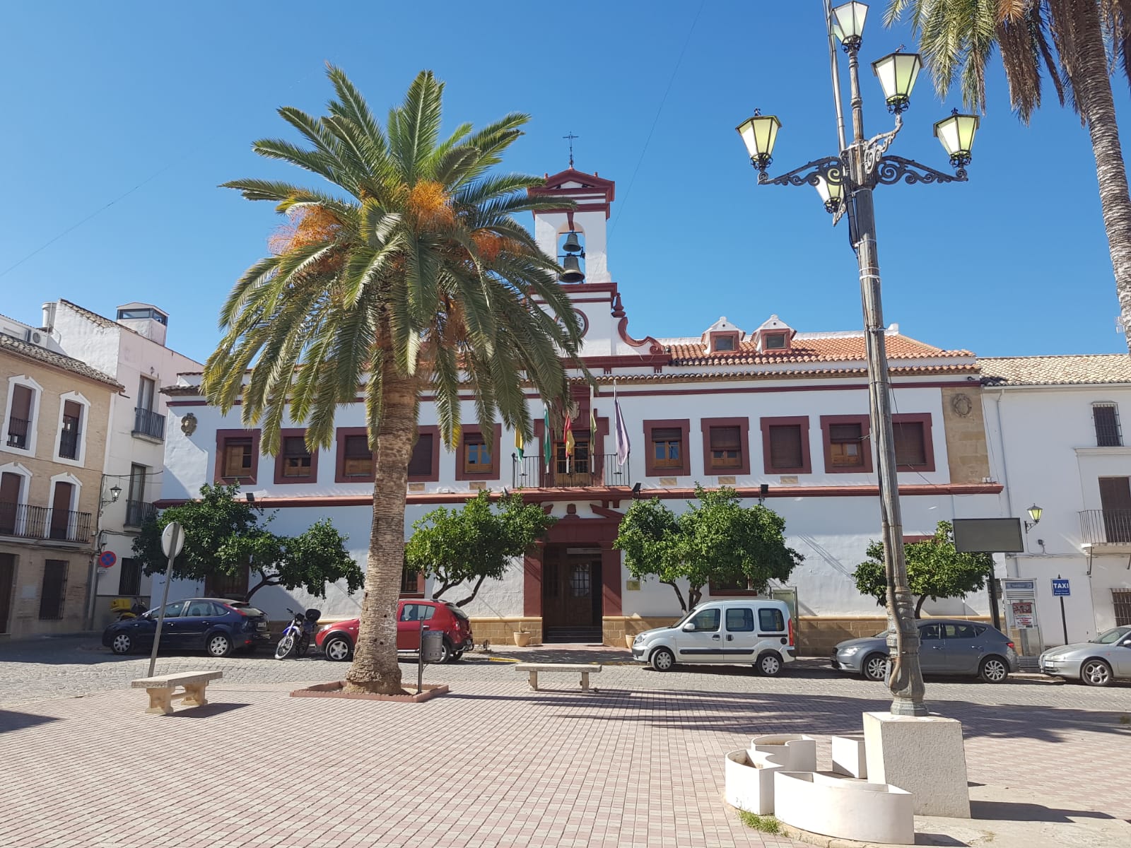  Politica Dimisión 