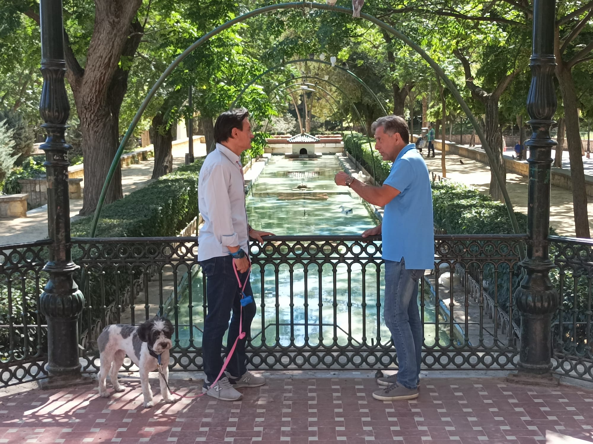  Mejoran las condiciones de los patos del Parque de la Concordia 