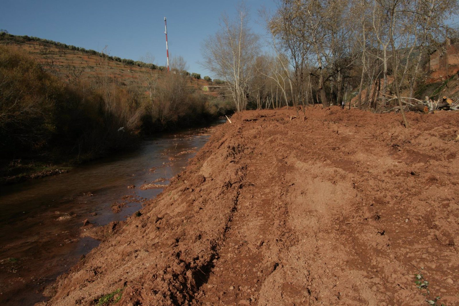  CHG multa al ayuntamiento de La Puerta de Segura por talar vegetación 